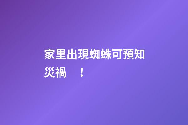 家里出現蜘蛛可預知災禍！